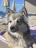 Pet Family Camping Cortina