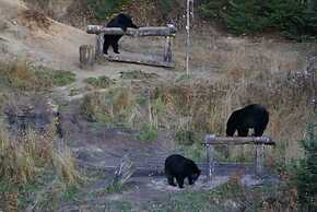 Gite au Vieux Pommier