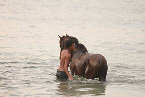 Mala Garden Resort & Spa