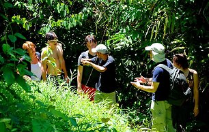 Khao Sok River Lodge Hotel