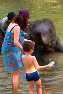 Khao Sok River Lodge Hotel