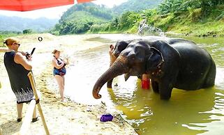 Khao Sok River Lodge Hotel