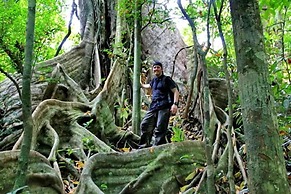 Khao Sok River Lodge Hotel
