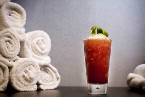 Pullman Paris Roissy CDG Airport