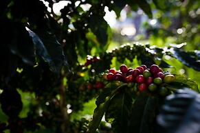 Casa Hotel El Triangulo