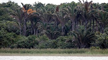 Royal Thonga Safari Lodge