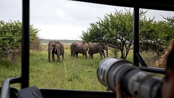 Royal Thonga Safari Lodge