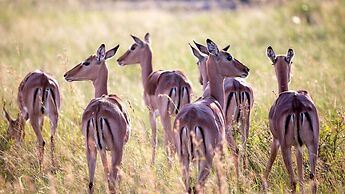 Royal Thonga Safari Lodge