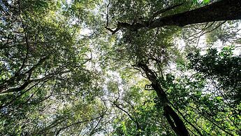 Royal Thonga Safari Lodge