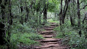 Royal Thonga Safari Lodge