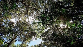 Royal Thonga Safari Lodge