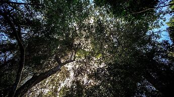 Royal Thonga Safari Lodge