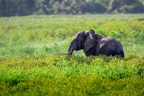 Royal Thonga Safari Lodge