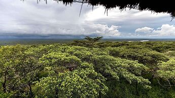 Royal Thonga Safari Lodge