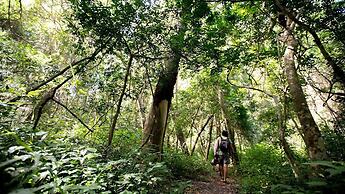 Royal Thonga Safari Lodge