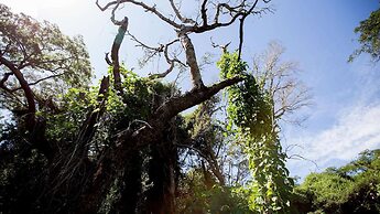 Royal Thonga Safari Lodge