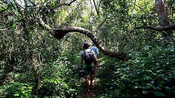 Royal Thonga Safari Lodge