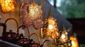 Royal Thonga Safari Lodge