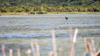 Royal Thonga Safari Lodge