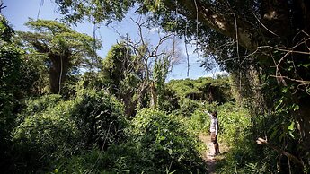 Royal Thonga Safari Lodge