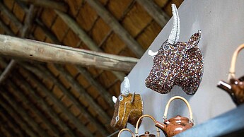 Royal Thonga Safari Lodge