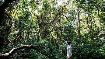 Royal Thonga Safari Lodge