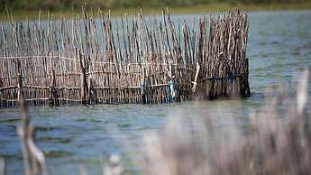 Royal Thonga Safari Lodge