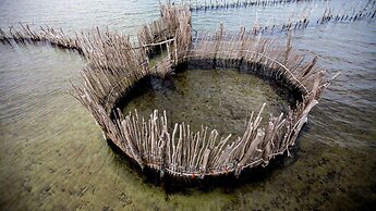 Royal Thonga Safari Lodge