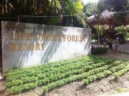 Lipe Sunset Forest Resort