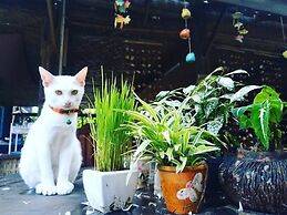 Champa Lao The Villa