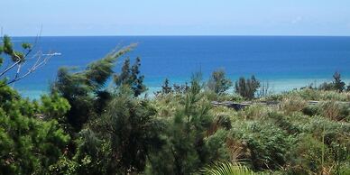 Private Vacation Villa Kohola