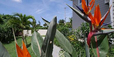 Private Vacation Villa Kohola