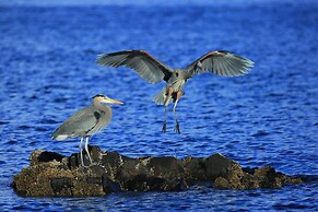 Glen Lyon Inn & Suites