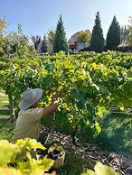 Ariana Sustainable Luxury Lodge - Special Class