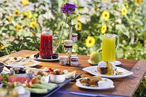 Ariana Sustainable Luxury Lodge - Special Class