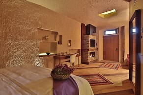 Ariana Sustainable Luxury Lodge - Special Class