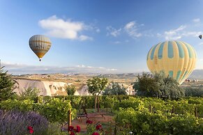 Ariana Sustainable Luxury Lodge - Special Class