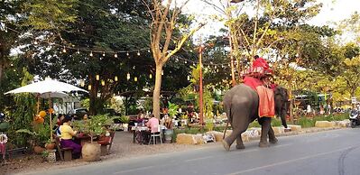 The Park Ayutthaya Resort and Spa