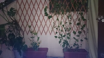 Zorbas Hotel - Hostel