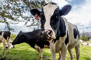 Ensenada Hotel y Campo Hotel Asociado Casa Andina
