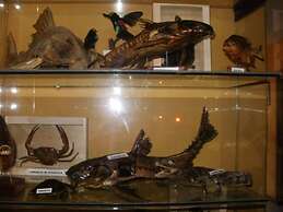 Madera Labrada Lodge