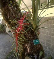 Las Cruces Biological Station