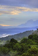 Las Cruces Biological Station