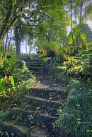 Las Cruces Biological Station