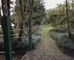 Las Cruces Biological Station