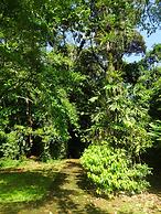 La Selva Biological Station