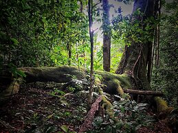 El Remanso Rainforest Lodge