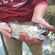 Good Place Farms B&B