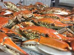 Good Place Farms B&B