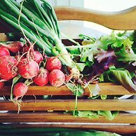 Good Place Farms B&B